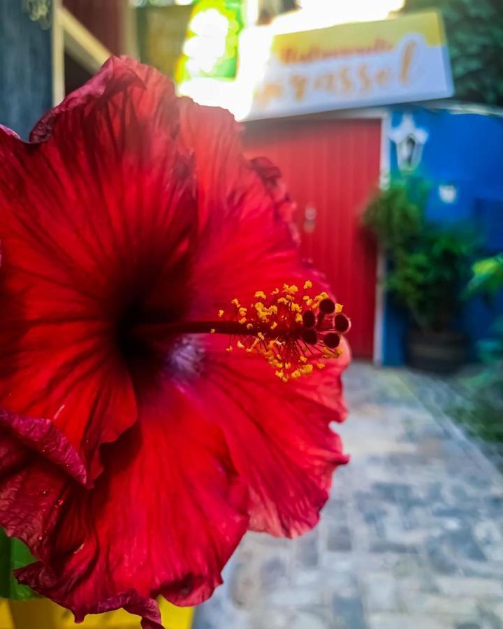 Pousada Girassol 莫罗圣保罗 外观 照片